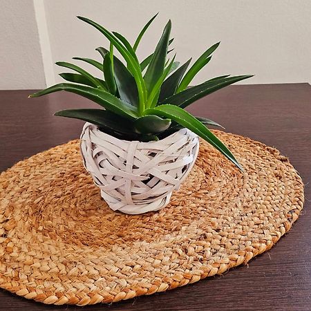 Apartamente Elegante In Regim Hotelier Iasi Buitenkant foto